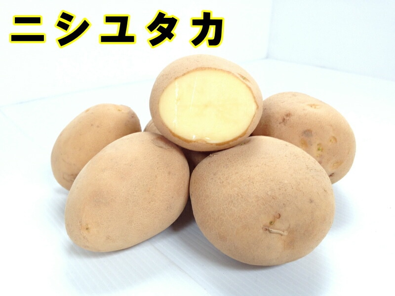 �ڼ兩�㥬���⡦�襤��֥ۡ˥��楿���פμ露�㤬���⡡�󣵣��������ڽե��㥬�����ѡ��������ܡ������ȯ����