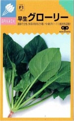 渶μ졡ۥ󥽥 ꡼ 25ml͹б