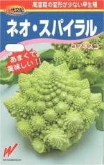 ޥͥͥѥ롡20γ͹б