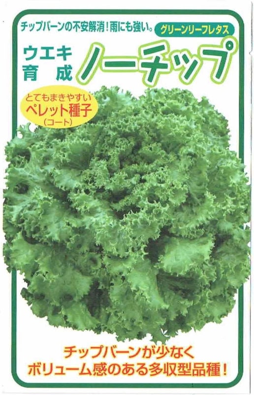 横浜植木 レタス ノーチップ Lコート種子約100粒【郵送対応