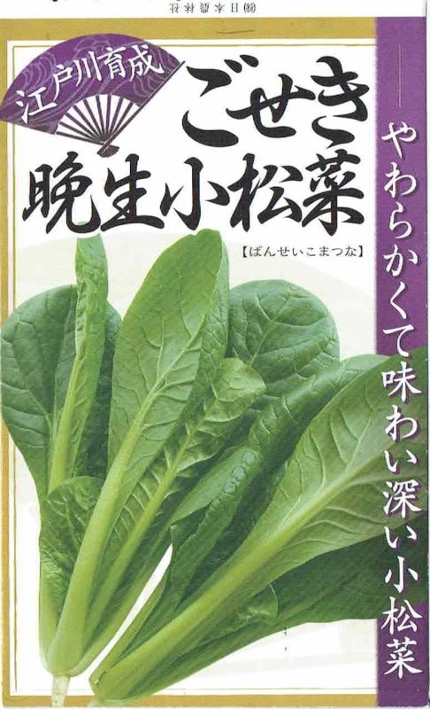 こまつ菜 コマツナ ちぢみこまつ菜｜種（タネ）,球根,苗,資材,ガーデニング