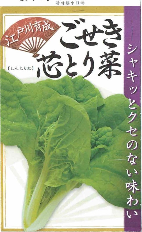 後関種苗 ごせき芯とり菜 20ml【郵送対応】 | 【メーカー名からタネを