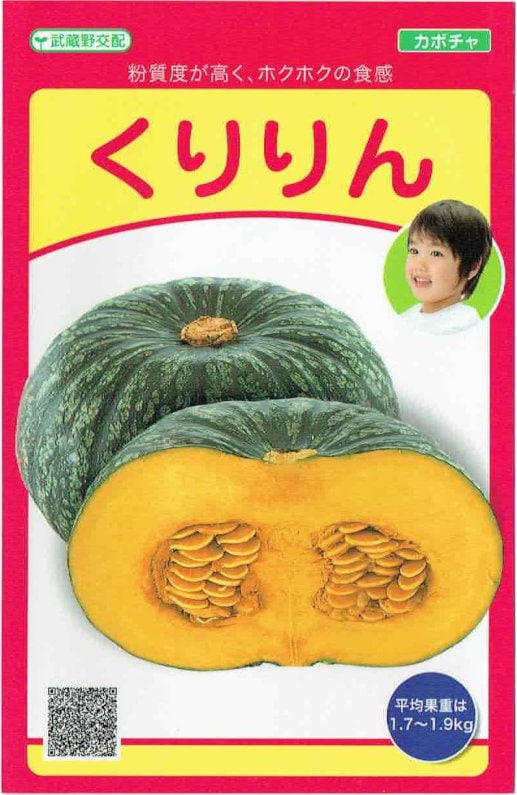 ��¢����ıࡡ���ܥ��㡡��������6γ��͹���б���