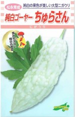 ʼġ򥴡䡼餵7γ͹б