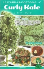 ���ʼ��ġ������롡�����꡼���꡼�󡡥����ȼ����30γ��͹���б���