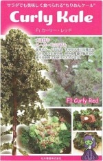 ���ʼ��ġ������롡�����꡼��åɡ������ȼ����30γ��͹���б���