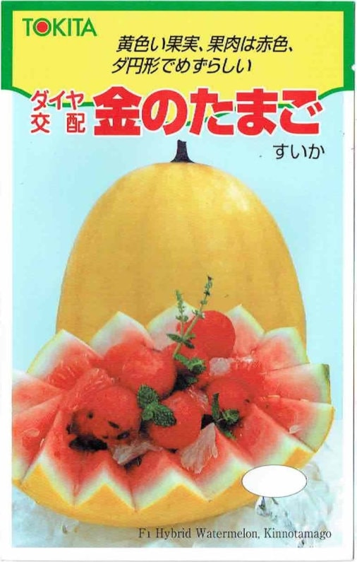 トキタ種苗 スイカ 金のたまご [内容量：10粒] | 【メーカー名からタネ