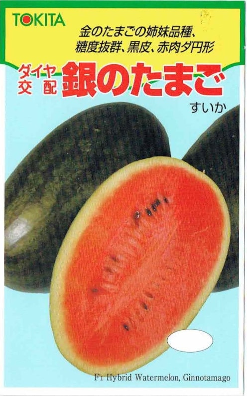 トキタ種苗 スイカ 銀のたまご [内容量：10粒] | 【メーカー名からタネ