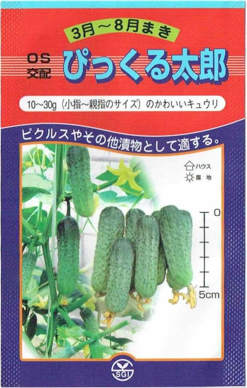 ��̸�������񡡥��奦�ꡡ�Ԥä�����Ϻ����10γ��͹���б���