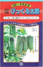 ��̸�������񡡥��奦�ꡡ�Ԥä�����Ϻ����10γ��͹���б���