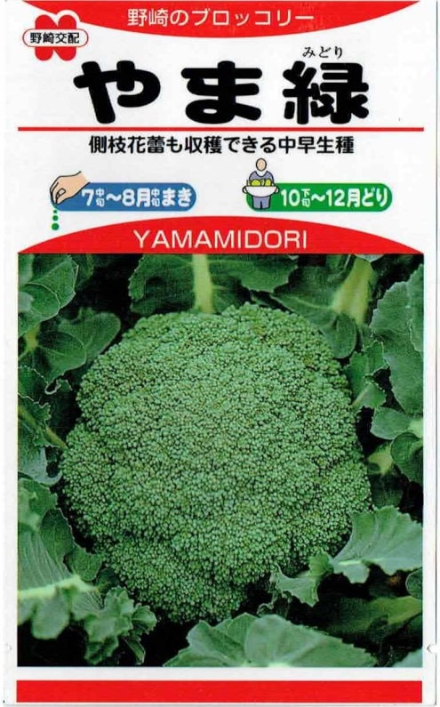 野崎採種場 ブロッコリー やま緑 1ml【郵送対応】 | 【メーカー名から