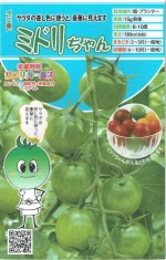 ȥġߥ˥ȥޥȡߥɥ[̡8γ]