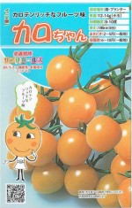 ȥġߥ˥ȥޥȡ[̡8γ]