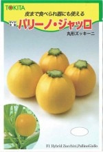 ȥġåˡѥ꡼Ρå[̡10γ]