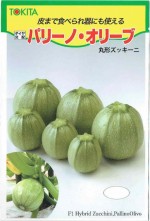 ȥġåˡѥ꡼Ρ꡼֡[̡10γ]