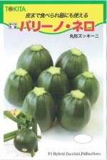 ȥġåˡѥ꡼Ρͥ[̡10γ]