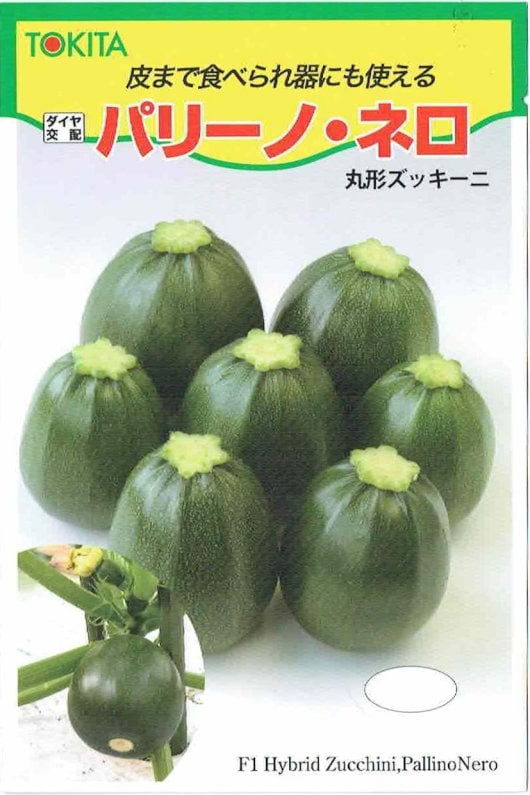 トキタ種苗 ズッキーニ パリーノ・ネロ [内容量：約10粒] | 【メーカー