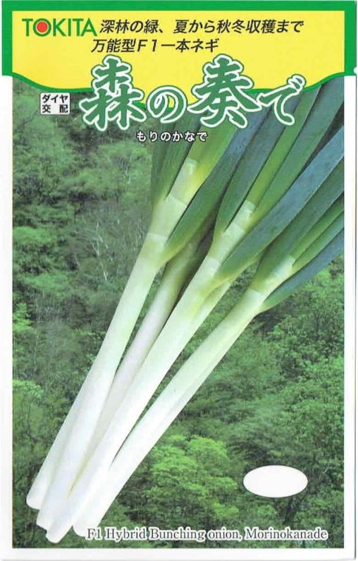 トキタ種苗 ネギ 森の奏で