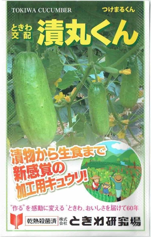 森のきゅうりさま依頼資料 ときわ研究場 キュウリ 漬丸くん 約20粒【郵送対応】 | 【野菜の