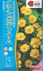 ���������ġ�����ݥǥ����ࡡ����å��ݥåȡ���30γ��͹���б��ۡ��ʼ�̾��TF757_��Ͽ�ֹ桧��27134���