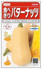 �������Υ��͡����ܥ��㡡���٤���Х����ʥå� �ޤ����� ��6γ��͹���б���