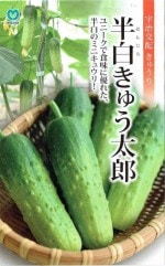 �ݼ�ߥ˥��奦�ꡡȾ�򤭤夦��Ϻ����5γ��͹���б���