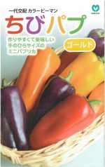 �ݼ���顼�ԡ��ޥ󡡤��ӥѥ� ������ɡ���5γ��͹���б���
