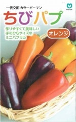 �ݼ���顼�ԡ��ޥ󡡤��ӥѥ� ����󥸡���5γ��͹���б���