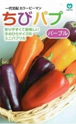 �ݼ���顼�ԡ��ޥ󡡤��ӥѥ� �ѡ��ץ롡��5γ��͹���б���