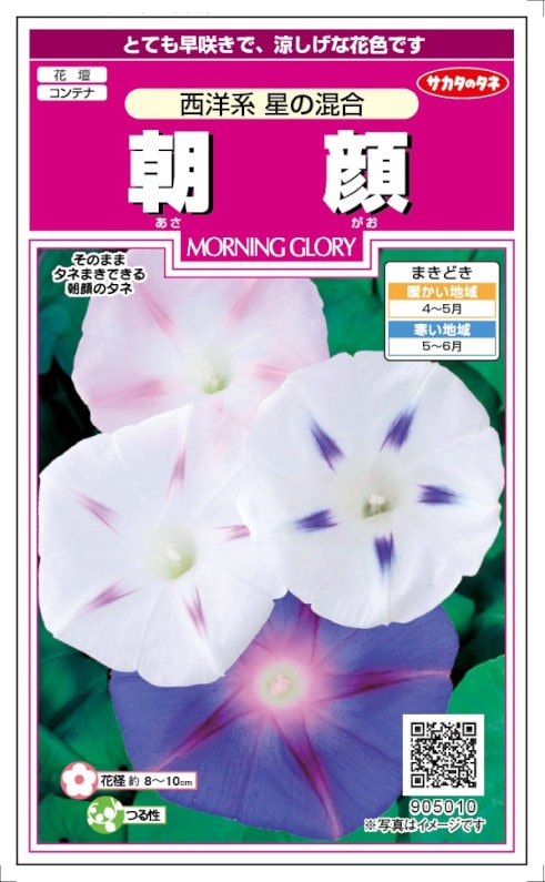 世界に夢をまく「サカタのタネ」 送料無料 [ねぎ] 夏扇パワー 3ml(粒数目安およそ500粒) (株