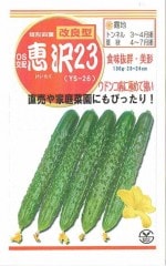 ��̸��������û�����ե��奦�ꡡ������������20γ��͹���б���