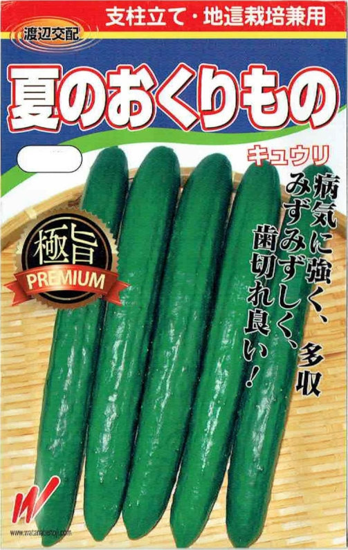 森のきゅうりさま依頼資料 キュウリ ずーっととれる｜種（タネ）,球根,苗,資材