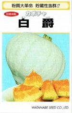 ���պμ�졡���ܥ��㡡��ߡ���8γ��͹���б���