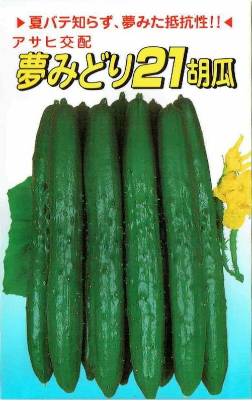 アサヒ農園 キュウリ 夢みどり21のタネ [内容量：1.3ml