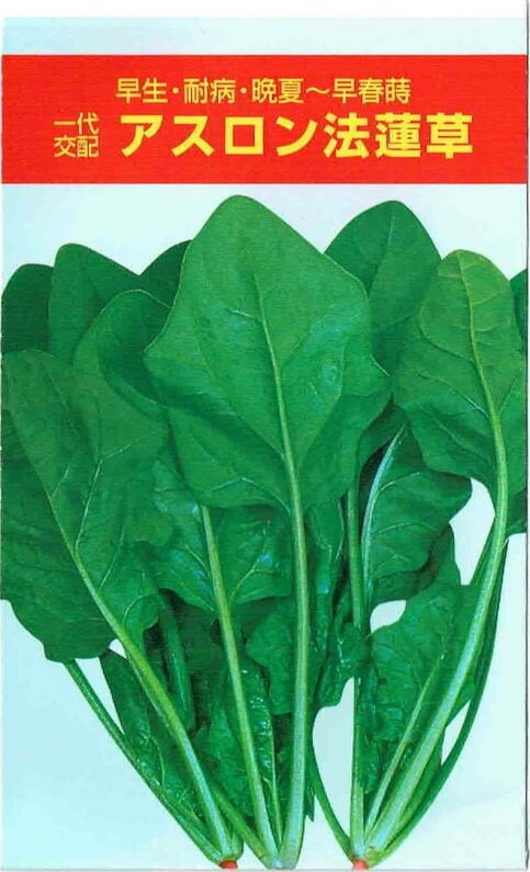 ���������ࡡ�ۥ���󥽥�����������Υ��͡�[�����̡�22ml]