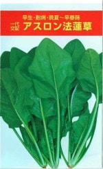 ࡡۥ󥽥Υ͡[̡22ml]