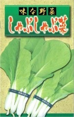 ���������ࡡ����֤���ֺڤΥ��͡�[�����̡�3ml]
