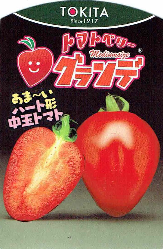 トマトの苗「トマトベリーグランデ」（実生）9cmポット【4月中旬～5月