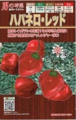 ȥġȥ饷ϥХͥåɡ[̡30γ]