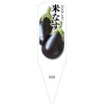 ѥ٥롡Ƥʤ100No539
