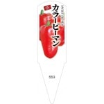 ѥ٥롡顼ԡޥ֡100No553