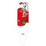 ѥ٥롡ѥץꥫ֡100No556