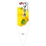 ѥ٥롡ѥץꥫ100No557
