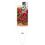 ѥ٥롡ޡ100No563
