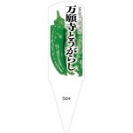 ѥ٥롡Ȥ餷100No564