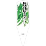 ѥ٥롡ĹȤ餷100No565