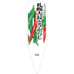 ѥ٥롡ĹȤ餷100No566