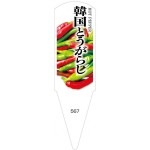 ѥ٥롡ڹȤ餷100No567