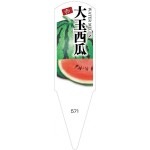 ѥ٥롡֡100No571