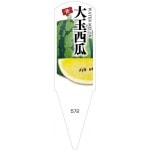 ѥ٥롡100No572